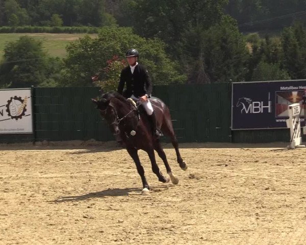 Reitturnier Lindlar-Süttenbach 2019