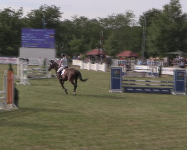 Reitturnier Delbrück-Ostenland 2019