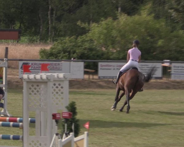 Reitturnier Delbrück-Ostenland 2019