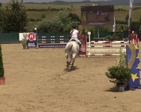 Reitturnier Lindlar-Süttenbach 2019