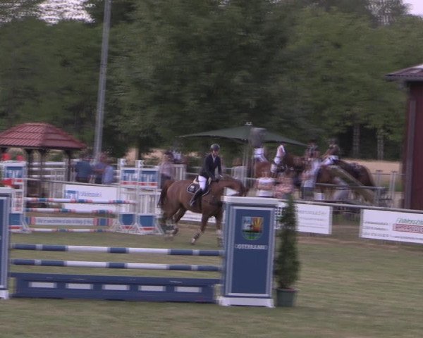Reitturnier Delbrück-Ostenland 2019