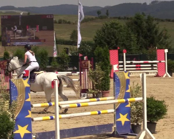 Reitturnier Lindlar-Süttenbach 2019