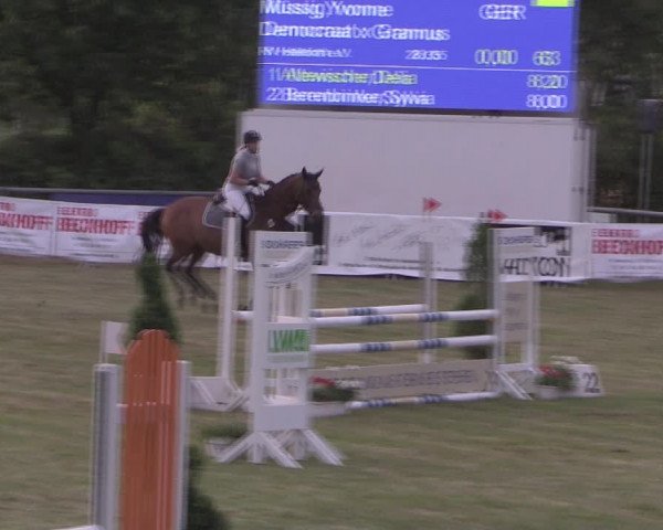 Reitturnier Delbrück-Ostenland 2019