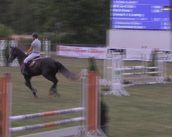 Reitturnier Delbrück-Ostenland 2019