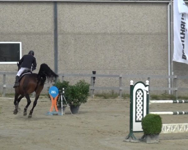Reitturnier Kalenborn Hegehof 2019
