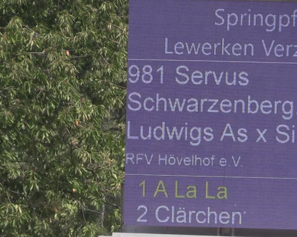 Reitturnier Delbrück-Ostenland 2019