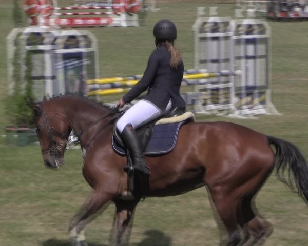 Reitturnier Delbrück-Ostenland 2019