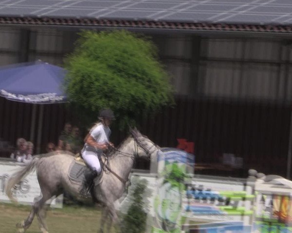 Reitturnier Delbrück-Ostenland 2019