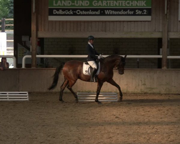 Reitturnier Delbrück-Ostenland 2019
