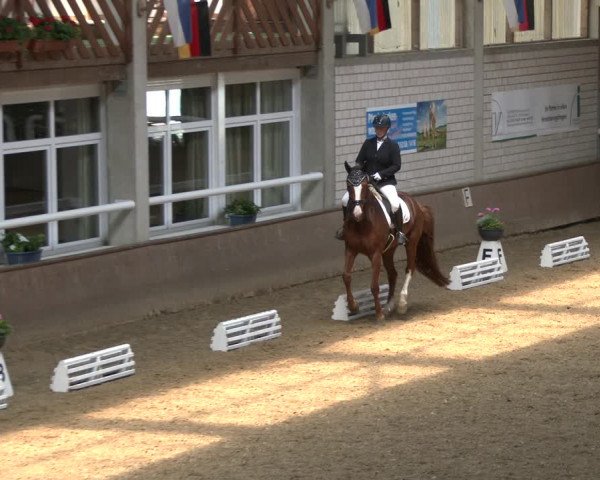 Reitturnier Delbrück-Ostenland 2019