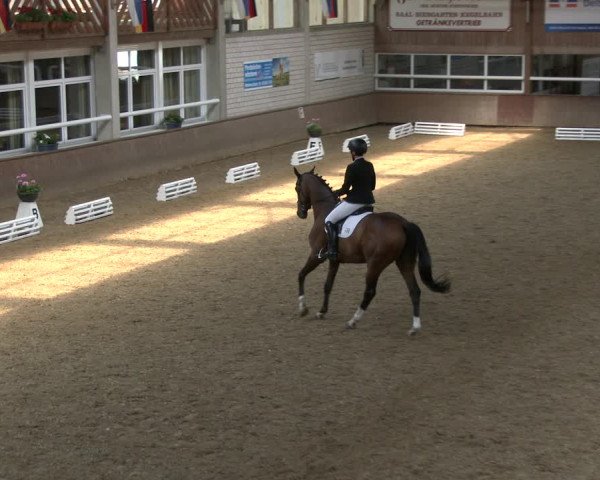 Reitturnier Delbrück-Ostenland 2019
