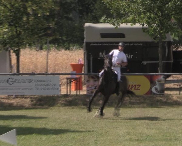 Reitturnier Delbrück-Ostenland 2019