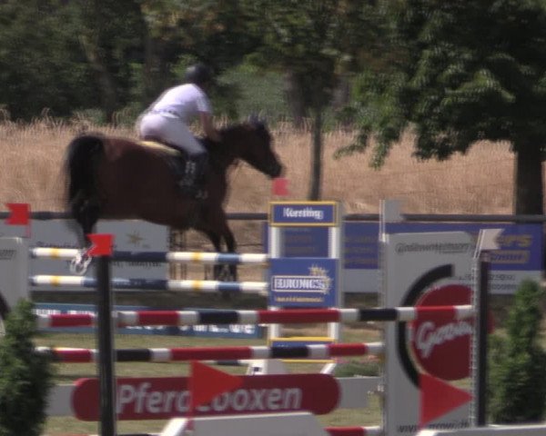 Reitturnier Delbrück-Ostenland 2019