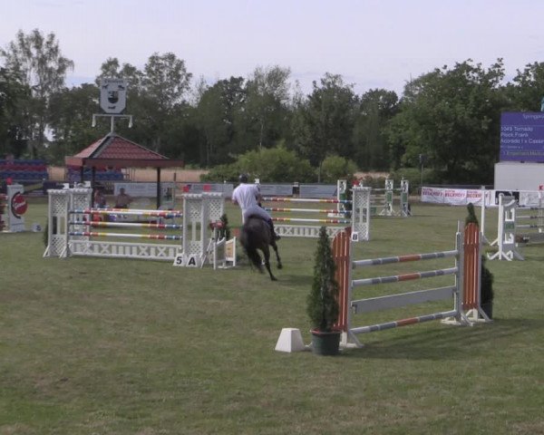 Reitturnier Delbrück-Ostenland 2019