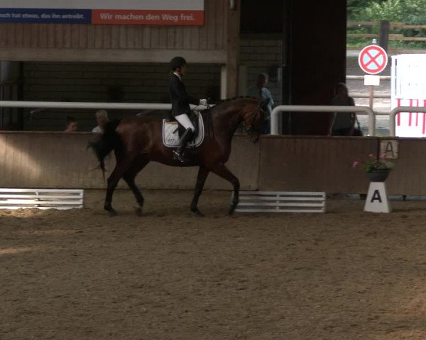 Reitturnier Delbrück-Ostenland 2019