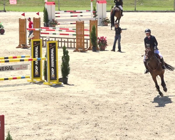 Reitturnier Turbenthal 2019
