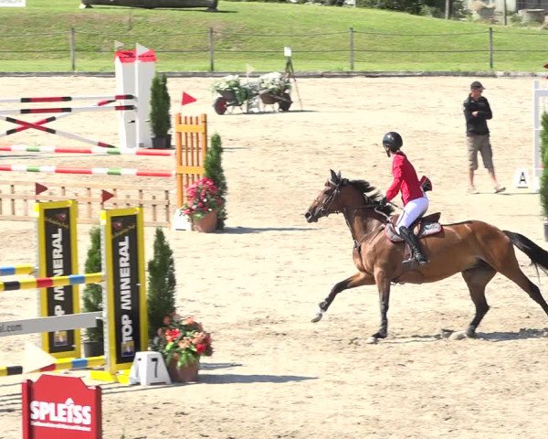 Reitturnier Turbenthal 2019