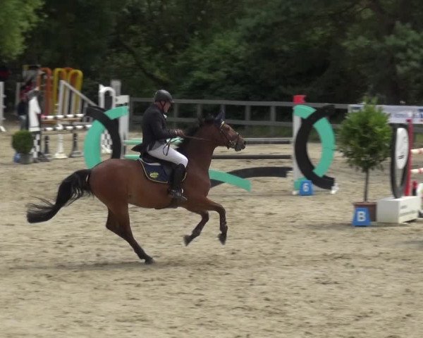 Reitturnier Kalenborn Hegehof 2019