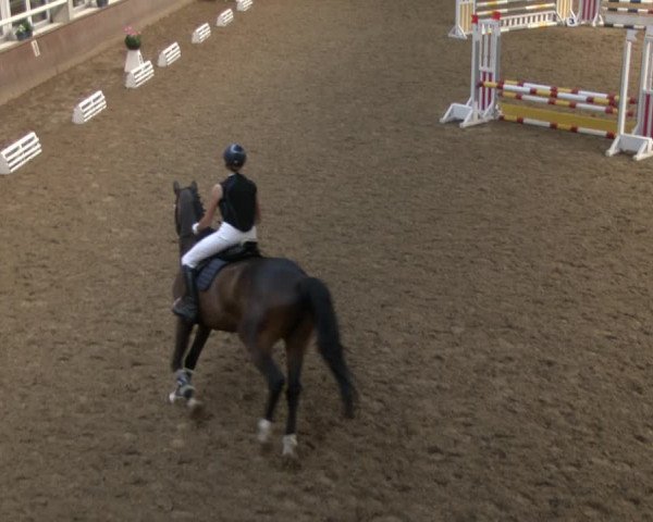 Reitturnier Delbrück-Ostenland 2019