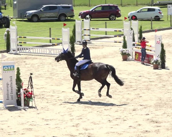 Reitturnier Turbenthal 2019