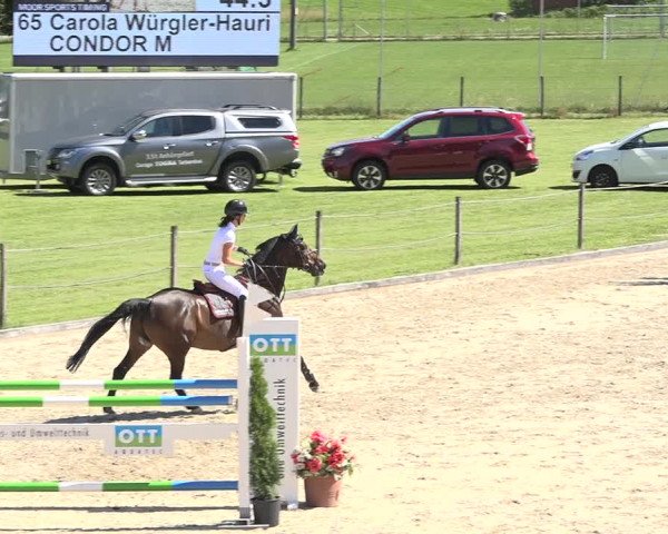 Reitturnier Turbenthal 2019