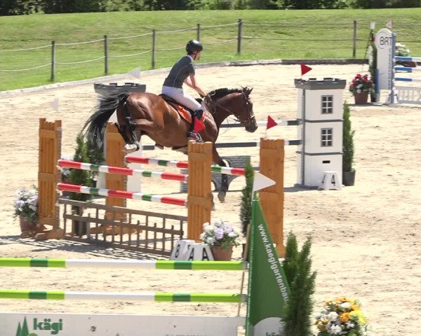 Reitturnier Turbenthal 2019