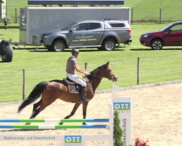 Reitturnier Turbenthal 2019