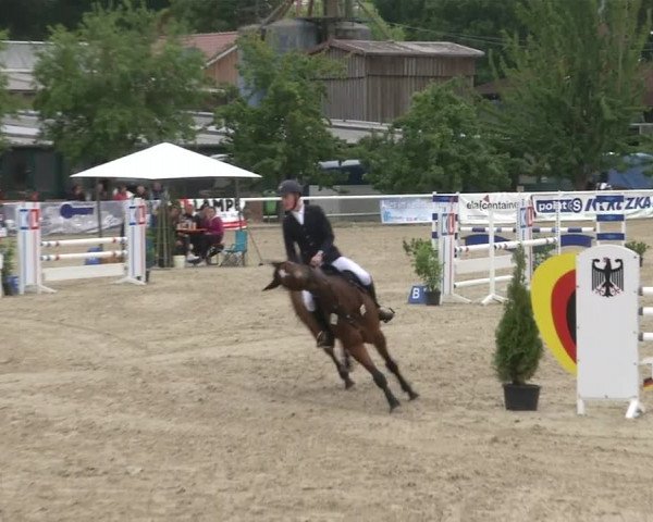 Reitturnier RA Haren/Lüssing 2019