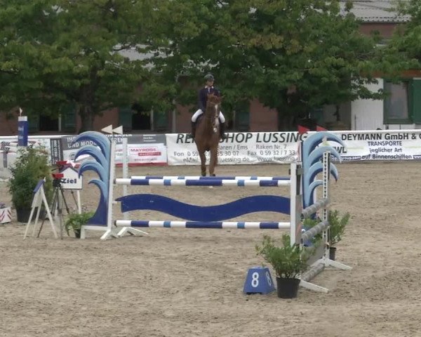 Reitturnier RA Haren/Lüssing 2019