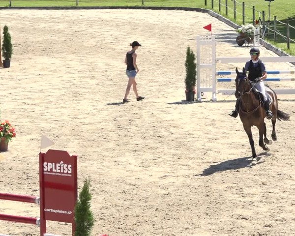Reitturnier Turbenthal 2019