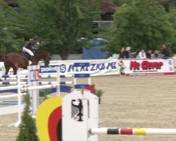 Reitturnier RA Haren/Lüssing 2019