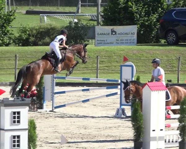 Reitturnier Turbenthal 2019