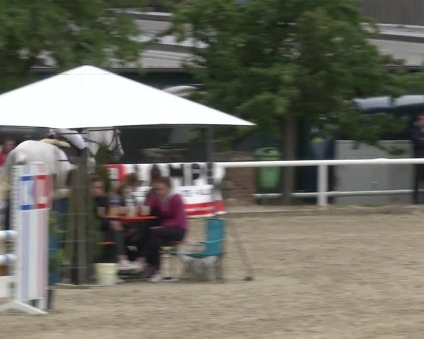 Reitturnier RA Haren/Lüssing 2019