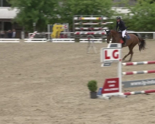 Reitturnier RA Haren/Lüssing 2019
