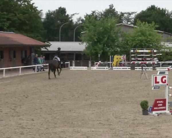 Reitturnier RA Haren/Lüssing 2019