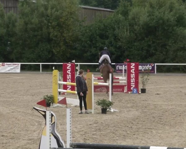 Reitturnier RA Haren/Lüssing 2019