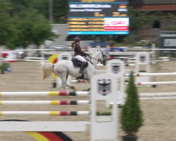Reitturnier RA Haren/Lüssing 2019