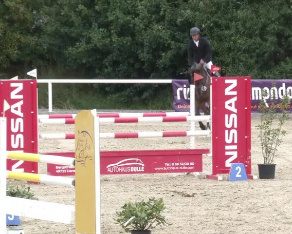 Reitturnier RA Haren/Lüssing 2019