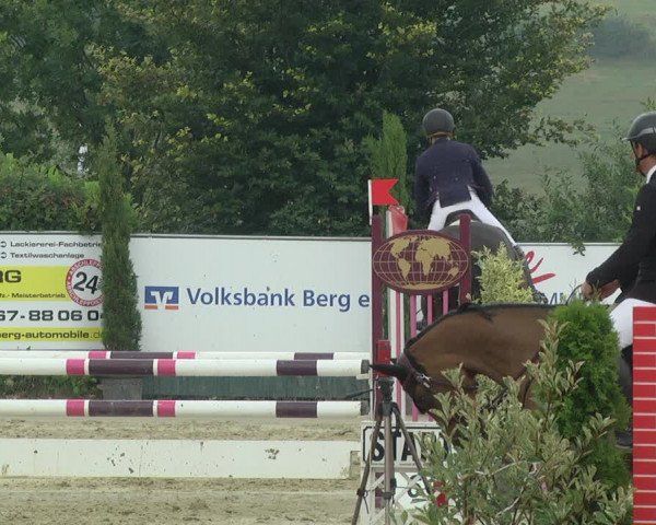 Reitturnier Lindlar-Süttenbach 2019