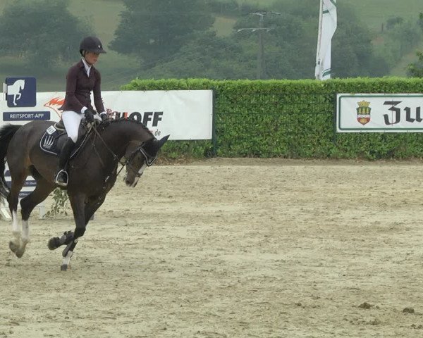Reitturnier Lindlar-Süttenbach 2019