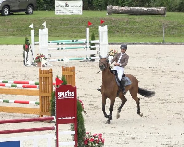 Reitturnier Turbenthal 2019