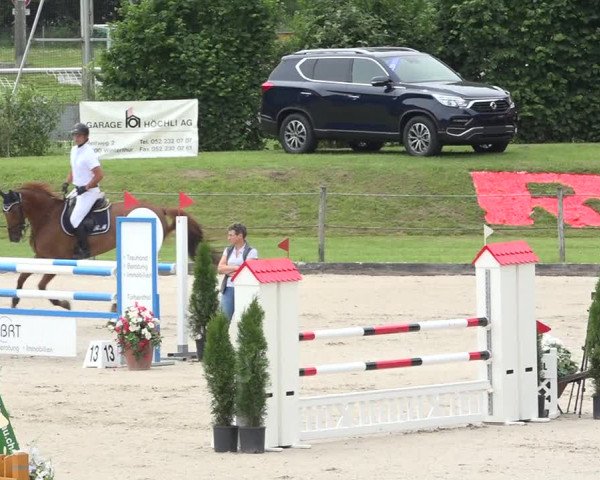 Reitturnier Turbenthal 2019
