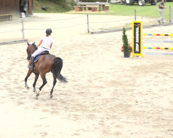 Reitturnier Turbenthal 2019