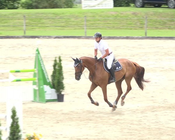 Reitturnier Turbenthal 2019