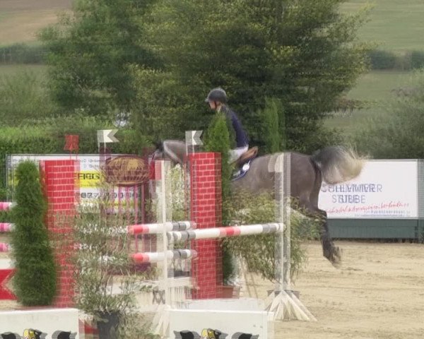 Reitturnier Lindlar-Süttenbach 2019