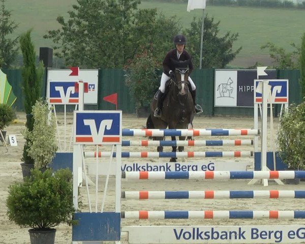 Reitturnier Lindlar-Süttenbach 2019
