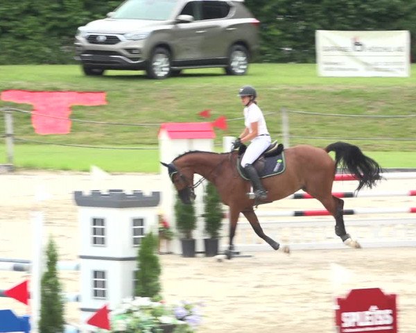 Reitturnier Turbenthal 2019