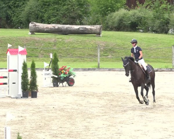 Reitturnier Turbenthal 2019