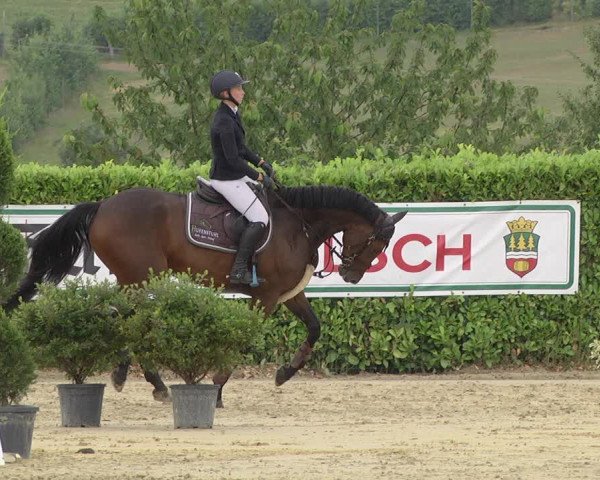 Reitturnier Lindlar-Süttenbach 2019