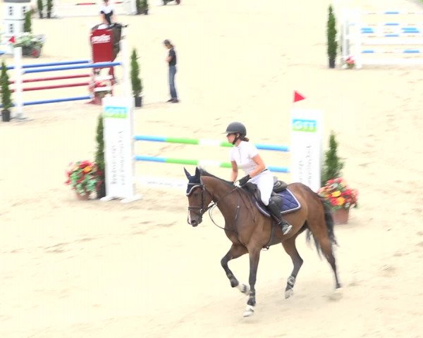 Reitturnier Turbenthal 2019